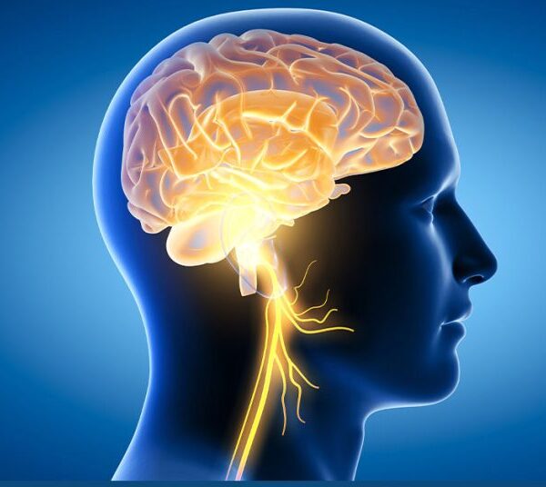 Dysregulated Nervous System 