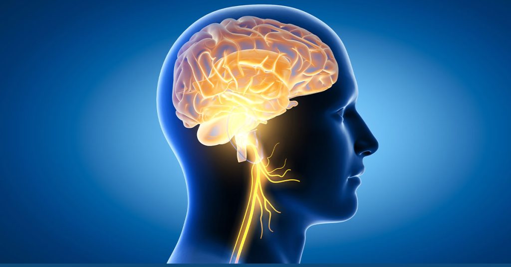 Dysregulated Nervous System 